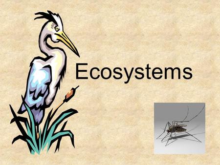Ecosystems What is ecology? Ecology- the scientific study of interactions between organisms and their environments, focusing on energy transfer It is.