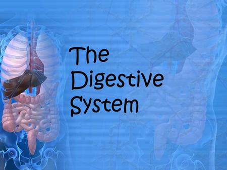 The Digestive System. Overall Functions of Digestive System 1.Taking in Food 2.Breaking Down Food 3.Absorbing Food 4.Eliminating Wastes.