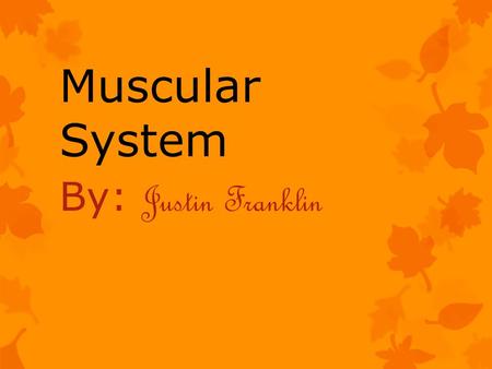 Muscular System By: Justin Franklin Muscular System Muscular System- is an organ system consisting of skeletal muscle. It move the body and circulates.