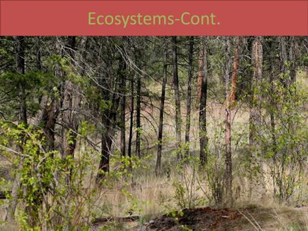Ecosystems-Cont.. Think Aloud Ecosystems are made up of Individual Organisms (living things)
