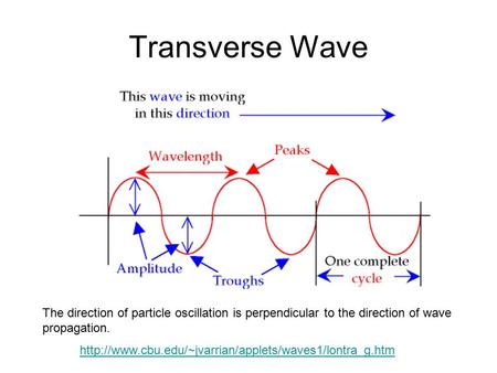 Transverse Wave The direction of particle oscillation is perpendicular to the direction of wave propagation.