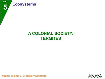 UNIT 5 Ecosystems Natural Science 2. Secondary Education A COLONIAL SOCIETY: TERMITES.