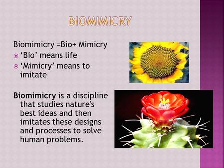 Biomimicry =Bio+ Mimicry  ‘Bio’ means life  ‘Mimicry’ means to imitate Biomimicry is a discipline that studies nature's best ideas and then imitates.