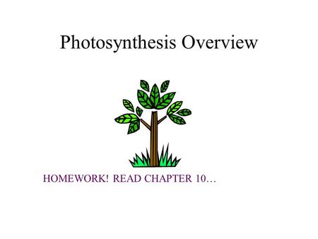 Photosynthesis Overview HOMEWORK! READ CHAPTER 10…