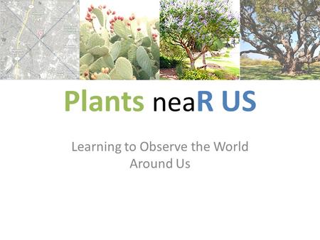 Plants nea R US Learning to Observe the World Around Us.