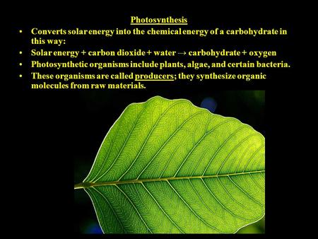 Photosynthesis Converts solar energy into the chemical energy of a carbohydrate in this way: Solar energy + carbon dioxide + water → carbohydrate + oxygen.