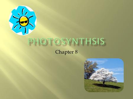 Chapter 8.  Energy is the ability to do work  All living organisms require energy  To be active (play sports)  Even while resting (cells require energy.