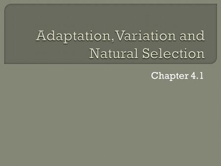 Chapter 4.1.  How does sexual reproduction and change in the genetic information result in variation within populations?  How can we measure variations.