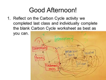 Good Afternoon! 1.Reflect on the Carbon Cycle activity we completed last class and individually complete the blank Carbon Cycle worksheet as best as you.