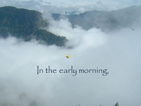 In the early morning,. high within the mountains of Taiwan,