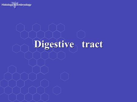 Digestive tract.