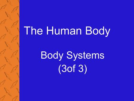 The Human Body Body Systems (3of 3). 4: The Human Body 2 Physiology of the Circulatory System (1 of 2) Pulse The wave of blood through the arteries formed.