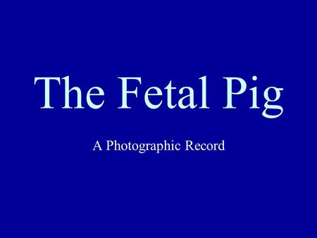 The Fetal Pig A Photographic Record.