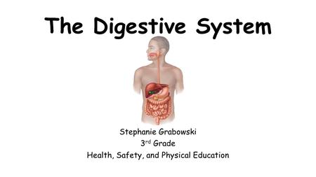 The Digestive System Stephanie Grabowski 3 rd Grade Health, Safety, and Physical Education.