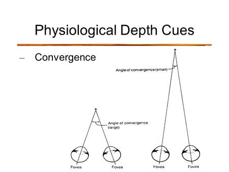 Physiological Depth Cues – Convergence. Physiological Depth Cues – Convergence – small angle of convergence = far away – large angle of convergence =
