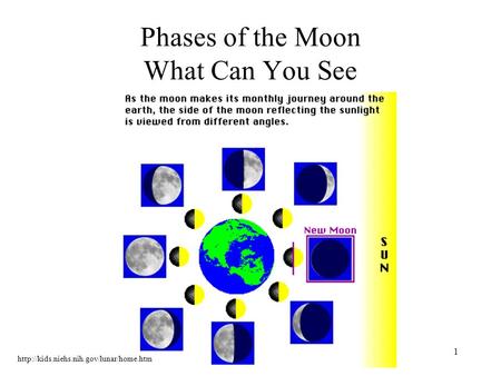 Phases of the Moon What Can You See