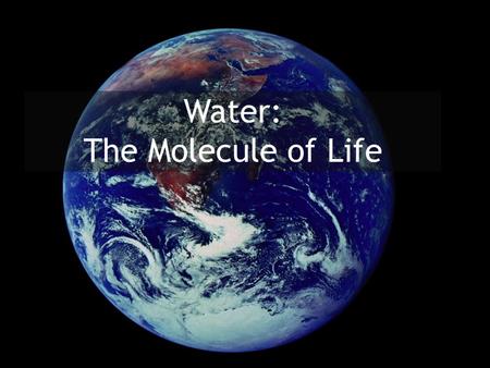 Water: The Molecule of Life