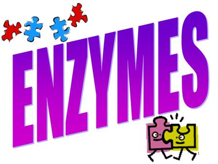 1. 2 What’s an Enzyme? 1.Enzymes are __________. 2.Enzymes are ___________. Catalysts _________ chemical reactions End in –____ (Ex: sucrase, catalase)