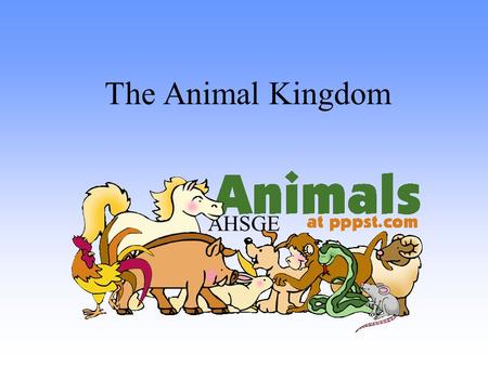 The Animal Kingdom AHSGE.