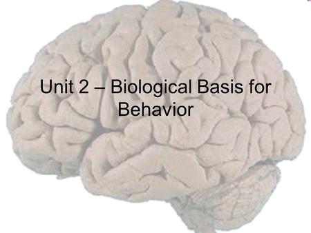 Unit 2 – Biological Basis for Behavior