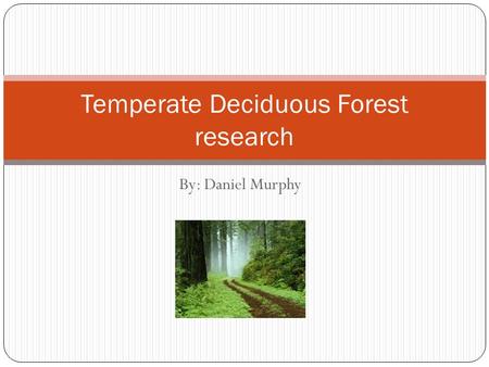 By: Daniel Murphy Temperate Deciduous Forest research.