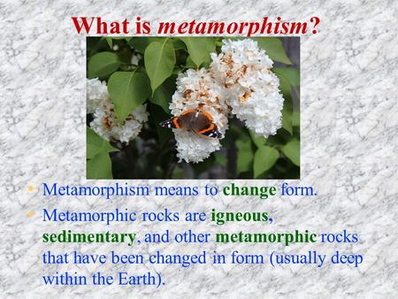 What is metamorphism? Metamorphism means to change form. Metamorphic rocks are igneous, sedimentary, and other metamorphic rocks that have been changed.