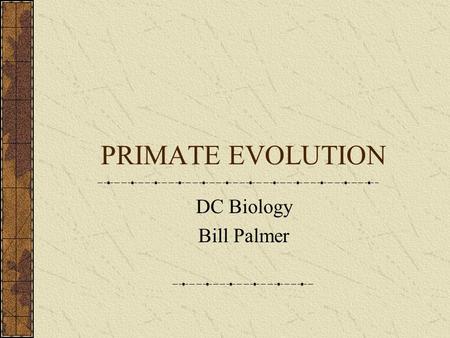 PRIMATE EVOLUTION DC Biology Bill Palmer.