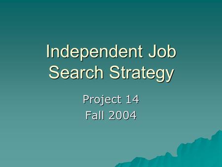 Independent Job Search Strategy Project 14 Fall 2004.