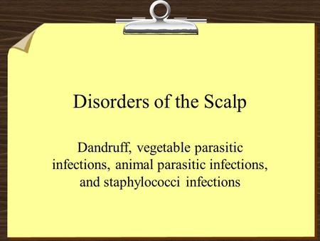 Disorders of the Scalp Dandruff, vegetable parasitic infections, animal parasitic infections, and staphylococci infections.
