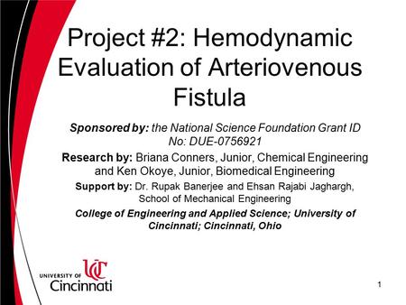 Project #2: Hemodynamic Evaluation of Arteriovenous Fistula