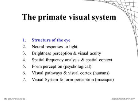 The primate visual systemHelmuth Radrich, 24.06.2004 The primate visual system 1.Structure of the eye 2.Neural responses to light 3.Brightness perception.