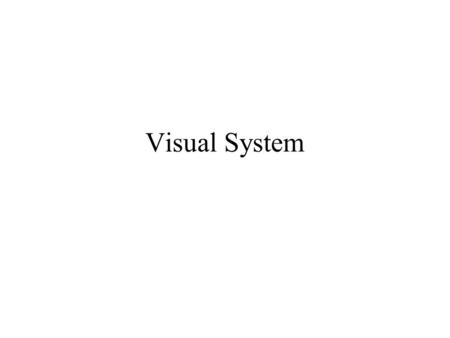 Visual System.