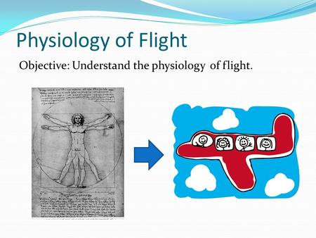 Physiology of Flight Objective: Understand the physiology of flight.