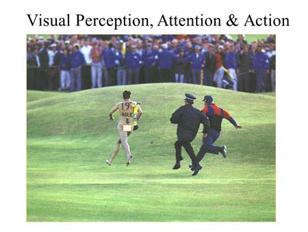 Visual Perception, Attention & Action. Anthony J Greene2.