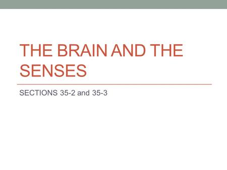 THE BRAIN AND THE SENSES SECTIONS 35-2 and 35-3. What were the divisions of the nervous system? Central Nervous System a. Brain and Spinal Cord b. Interprets.