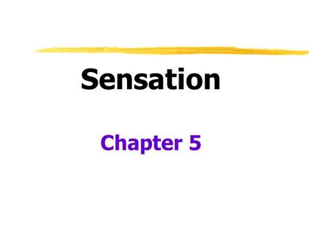 Sensation Chapter 5. Sensation  Sensation  Our senses receive information from our world  Perception  How we take this information and organize/interpret.