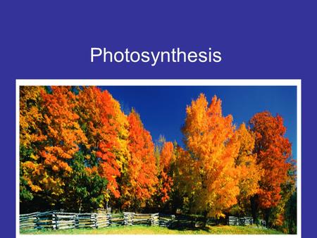 Photosynthesis Table of Contents 1.Science Process Skills-----------------------1 2.Parts of a Cell----------------------------------# 3.Classifying.