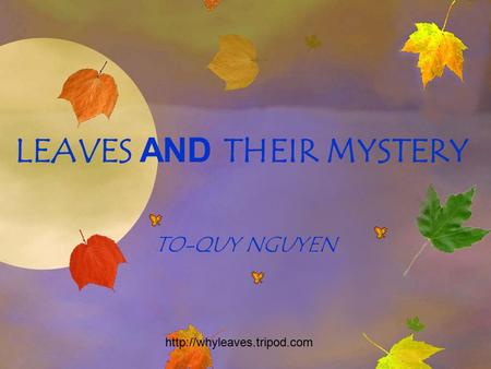 LEAVES AND THEIR MYSTERY TO-QUY NGUYEN