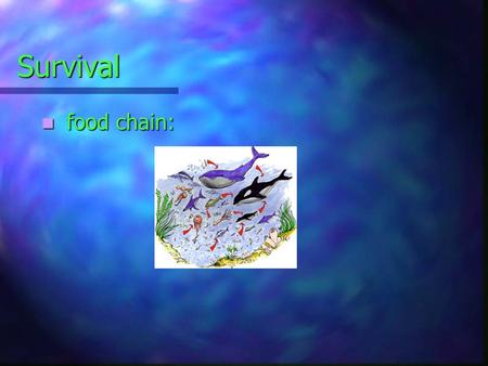 Survival food chain: food chain:. ?Survival of the fittest? What do you think of when you hear “survival of the fittest?” > Adaptation: (to adapt, reproduce.