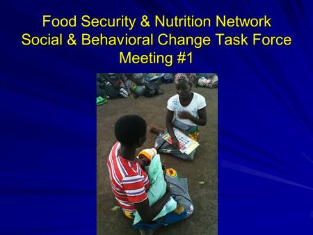 Food Security & Nutrition Network Social & Behavioral Change Task Force Meeting #1.