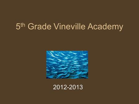 5 th Grade Vineville Academy 2012-2013. Our Objectives 1.Ensure each student is able to demonstrate the required 5 th grade skills in all content areas.
