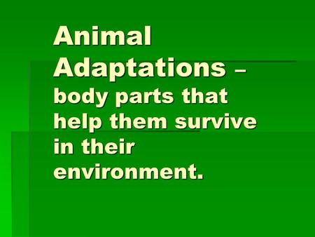 Animal Adaptations – body parts that help them survive in their environment.