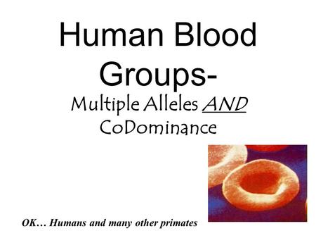 Human Blood Groups- Multiple Alleles AND CoDominance OK… Humans and many other primates.