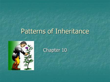 Patterns of Inheritance Chapter 10. Blending Hypothesis of Inheritance Trait Trait A variation of a particular characteristic A variation of a particular.