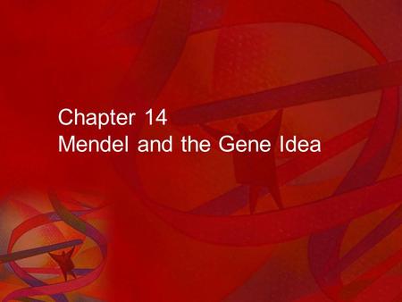 Chapter 14 Mendel and the Gene Idea. Inheritance The passing of traits from parents to offspring. Humans have known about inheritance for thousands of.