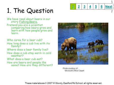 1. The Question We have read about bears in our story Fishing Bears. Pretend you are a scientist comparing how bears grow and learn with how people grow.
