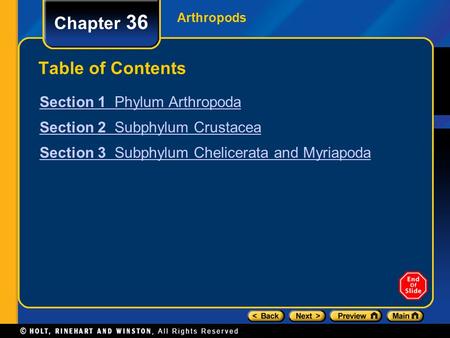Chapter 36 Table of Contents Section 1 Phylum Arthropoda