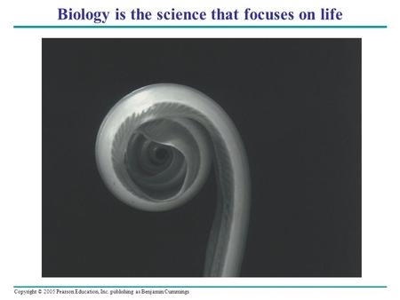 Copyright © 2005 Pearson Education, Inc. publishing as Benjamin Cummings Biology is the science that focuses on life.
