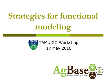 Strategies for functional modeling TAMU GO Workshop 17 May 2010.