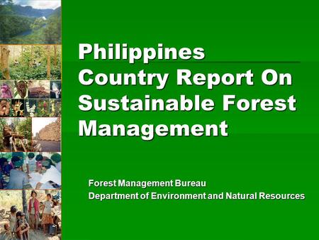 Philippines Country Report On Sustainable Forest Management